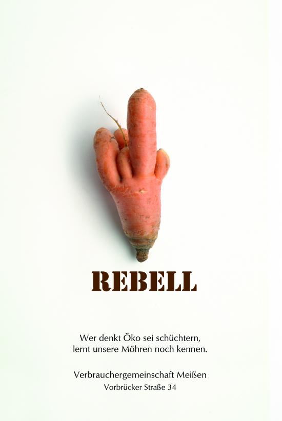 Flyer Rebell